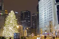 Chicago Christmas Walk Christkindlmarket 2 hr thumbnail 1