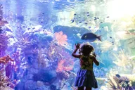 San Diego Attractions Pass thumbnail 2