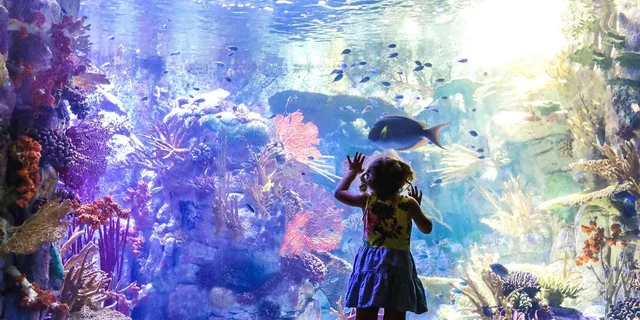 San Diego Attractions Pass - Image 2