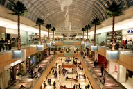 Dallas Shopping Malls Private Limousine Tour thumbnail 2