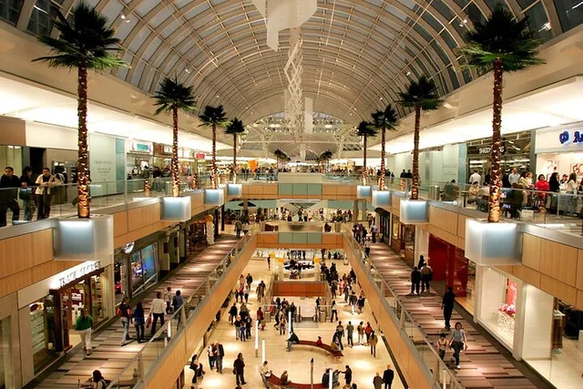 Dallas Shopping Malls Private Limousine Tour - Image 2