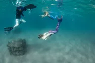 Blue Heron Bridge Mermaid Experience thumbnail 5