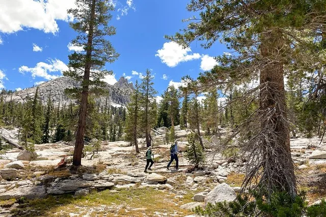 Yosemite High Country Hiking Tour - Image 6