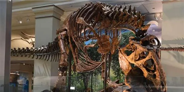 Washington DC History and Natural History Museum Tour 3 hr - Image 5