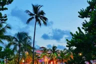 Miami Art Deco and South Beach Walking Tour thumbnail 3