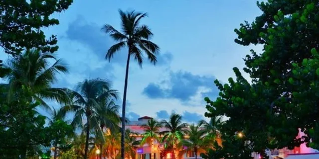 Miami Art Deco and South Beach Walking Tour - Image 3