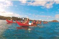 Maui Turtle Town Eco Adventure thumbnail 1