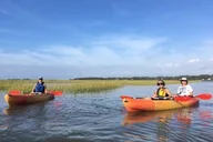 Hilton Head Kayaking Tour with Coffee 90 min thumbnail 4