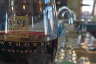 Traverse City Red Wine Tour thumbnail 1