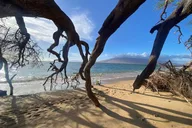 Maui Road to Hana Tour thumbnail 2