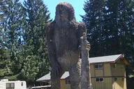 Mount Saint Helens Day Trip thumbnail 5