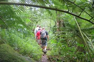 Honolulu Waterfall Hike thumbnail 2