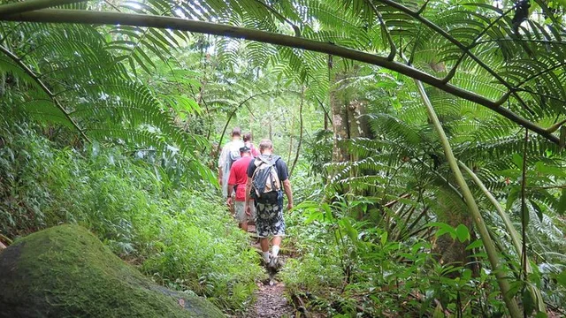 Honolulu Waterfall Hike - Image 2
