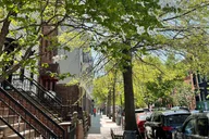 Brooklyn Vintage Shopping Walking Tour thumbnail 6