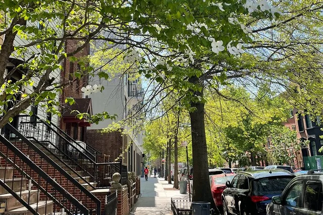 Brooklyn Vintage Shopping Walking Tour - Image 6
