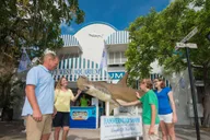 Key West Aquarium Tour thumbnail 1