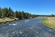 Yellowstone Bus Tour thumbnail 1