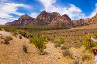 Las Vegas Mojave Desert and Seven Magic Mountains Tour thumbnail 5