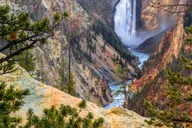 Jackson Hole Yellowstone Wildlife and Geysers Day Tour thumbnail 5