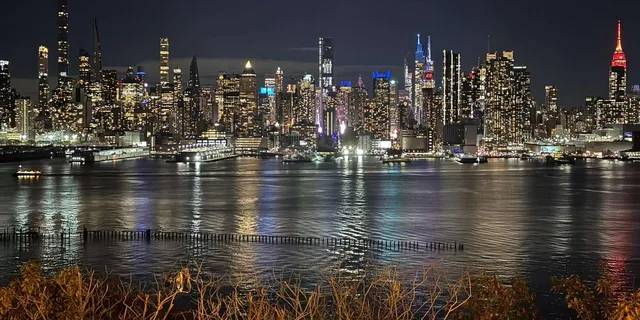 New York Night Tour of Hamilton Park and Brooklyn Heights - Image 6