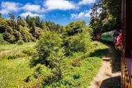 Fort Bragg Pudding Creek Train Ride thumbnail 2