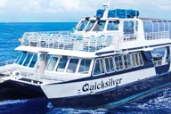 Ma'alaea Turtle Town Snorkel Cruise thumbnail 2