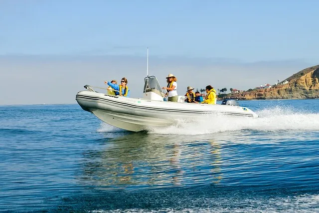 San Diego Whale and Dolphin Watching Tour - Image 3