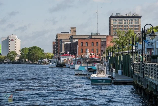 Wilmington Boat Cruise on Eagles Island - Image 1
