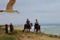 San Francisco Beach Horseback Ride & Alcatraz Tour thumbnail 3