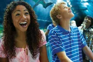 Orlando SeaWorld Park Admission thumbnail 5