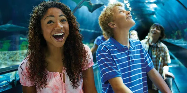 Orlando SeaWorld Park Admission - Image 5