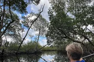 Miami Clear Kayak Eco Tour thumbnail 1