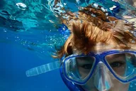 Marathon Key Snorkeling Adventure at Sombrero Reef 3 hr thumbnail 5