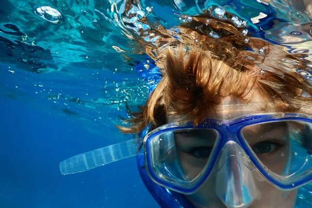 Marathon Key Snorkeling Adventure at Sombrero Reef 3 hr - Image 5