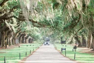Charleston Plantation All-Access Tour thumbnail 1