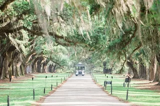 Charleston Plantation All-Access Tour