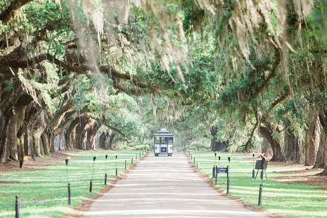 Charleston Plantation All-Access Tour - Image 1