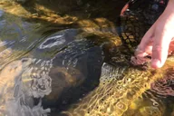 Heber Valley Fly Fishing Experience thumbnail 2