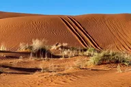St. George Sand Mountain Sunset Jeep Tour thumbnail 5
