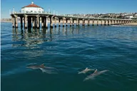 Orange County Hike and Bike Tour thumbnail 1