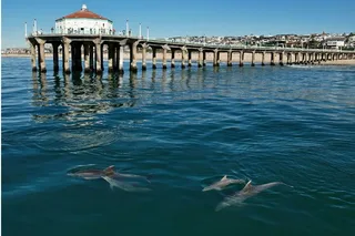 Orange County Hike and Bike Tour