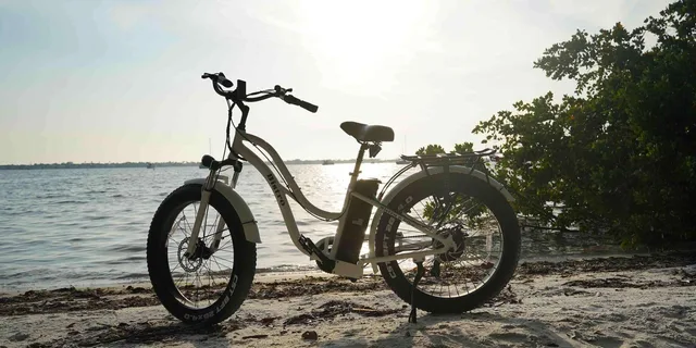 Sarasota E-Bike Rental - Image 3