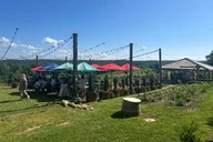Dahlonega Wine Tour from Atlanta thumbnail 3