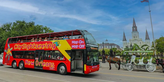 New Orleans Hop-On Hop-Off Bus Tour - Image 4