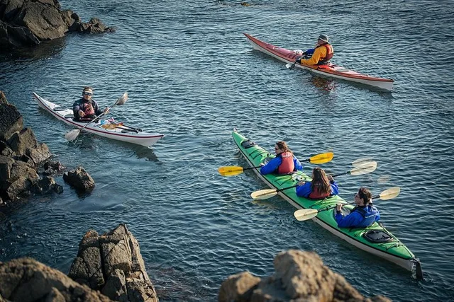 San Juan Islands Sea Kayak Tour - Image 6