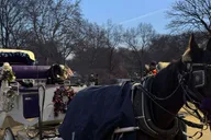 New York City Christmas Lights Horse Carriage Ride thumbnail 6