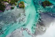 Key West Eco Sandbar Snorkeling Tour thumbnail 2