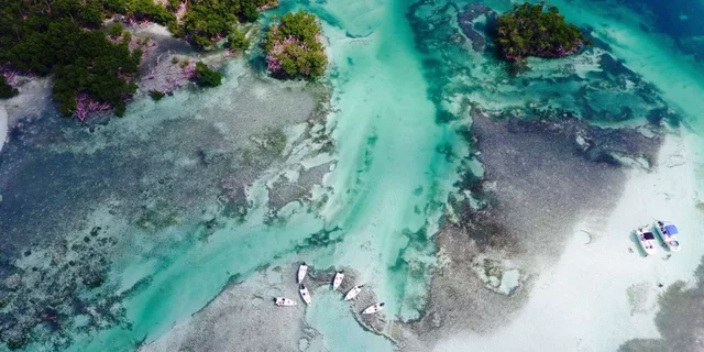 Key West Eco Sandbar Snorkeling Tour - Image 2