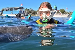 Crystal River Manatee Swim 3 hr
