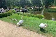 Berlin Potsdam Private Tour by Car 6 hr thumbnail 6